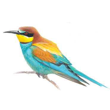 BLOCBIRD - Bijeneter / Bijeneter