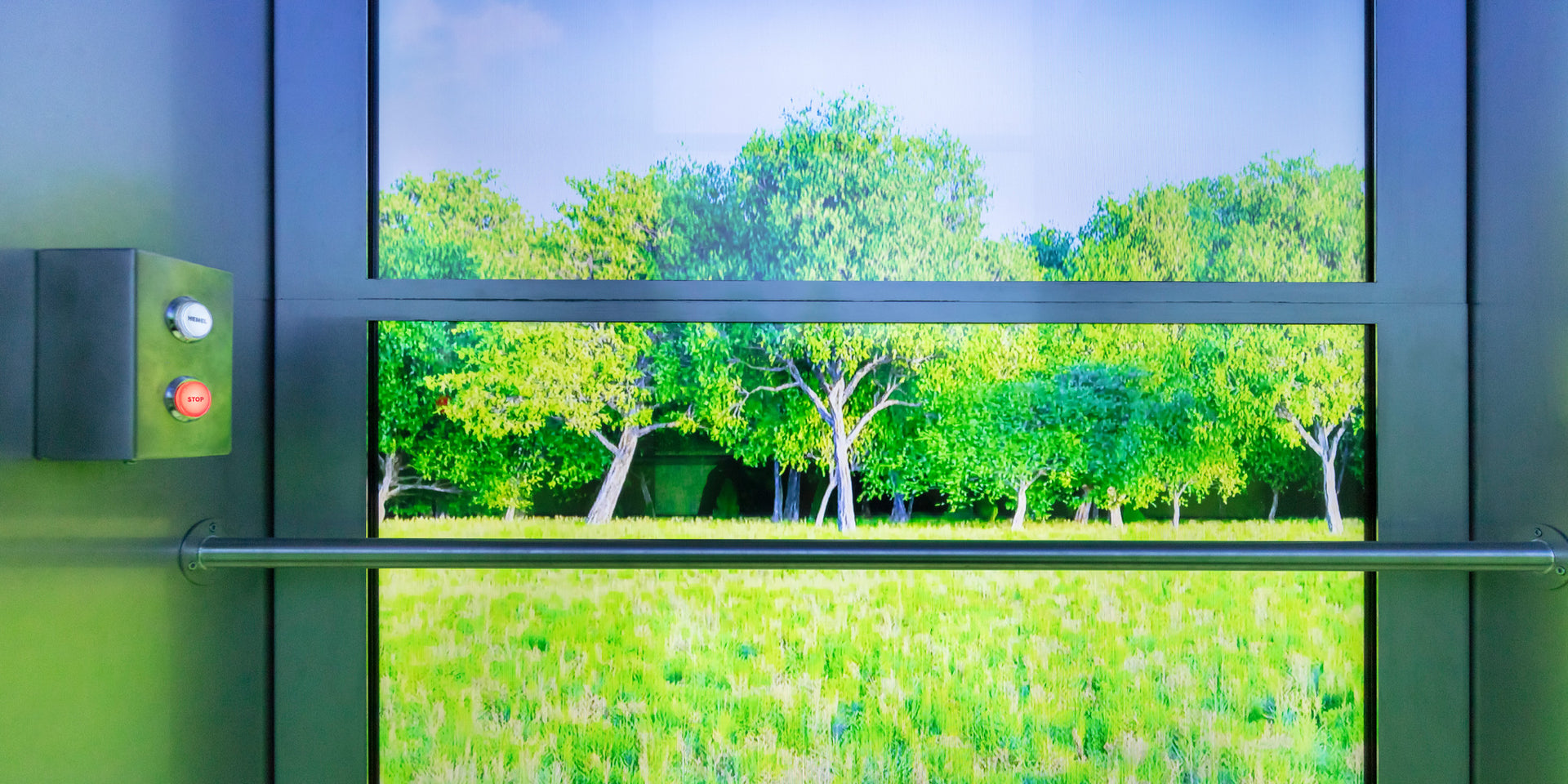 What are we celebrating? Paul&Albert